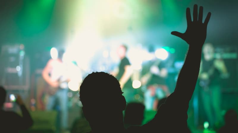 Novelbright のライブ映像